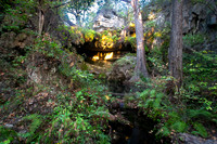 Westcave Preserve
