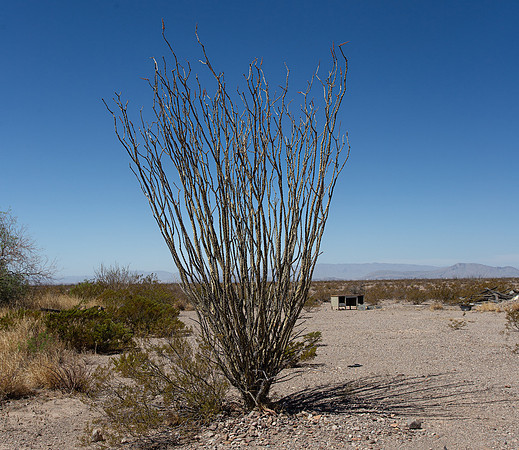 Alpine, Texas