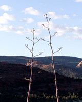 Sedona, Arizona
