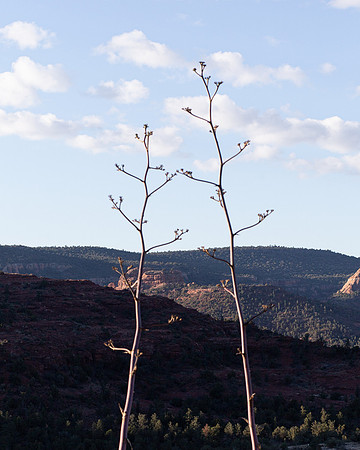 Sedona, Arizona