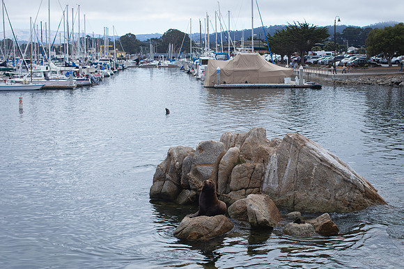 Monterey, California